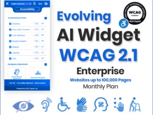 Evolving AI Widget – WCAG 2.1 - Enterprise